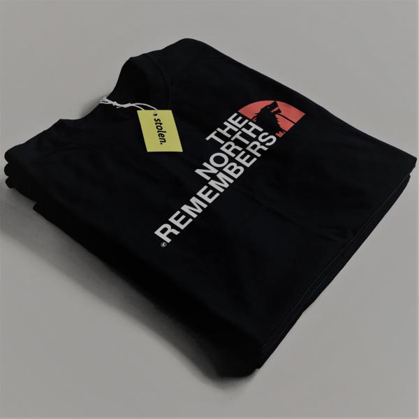 THE NORTH REMEMBER - Got Series T-shirt