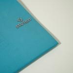 Aqua Polo Shirt